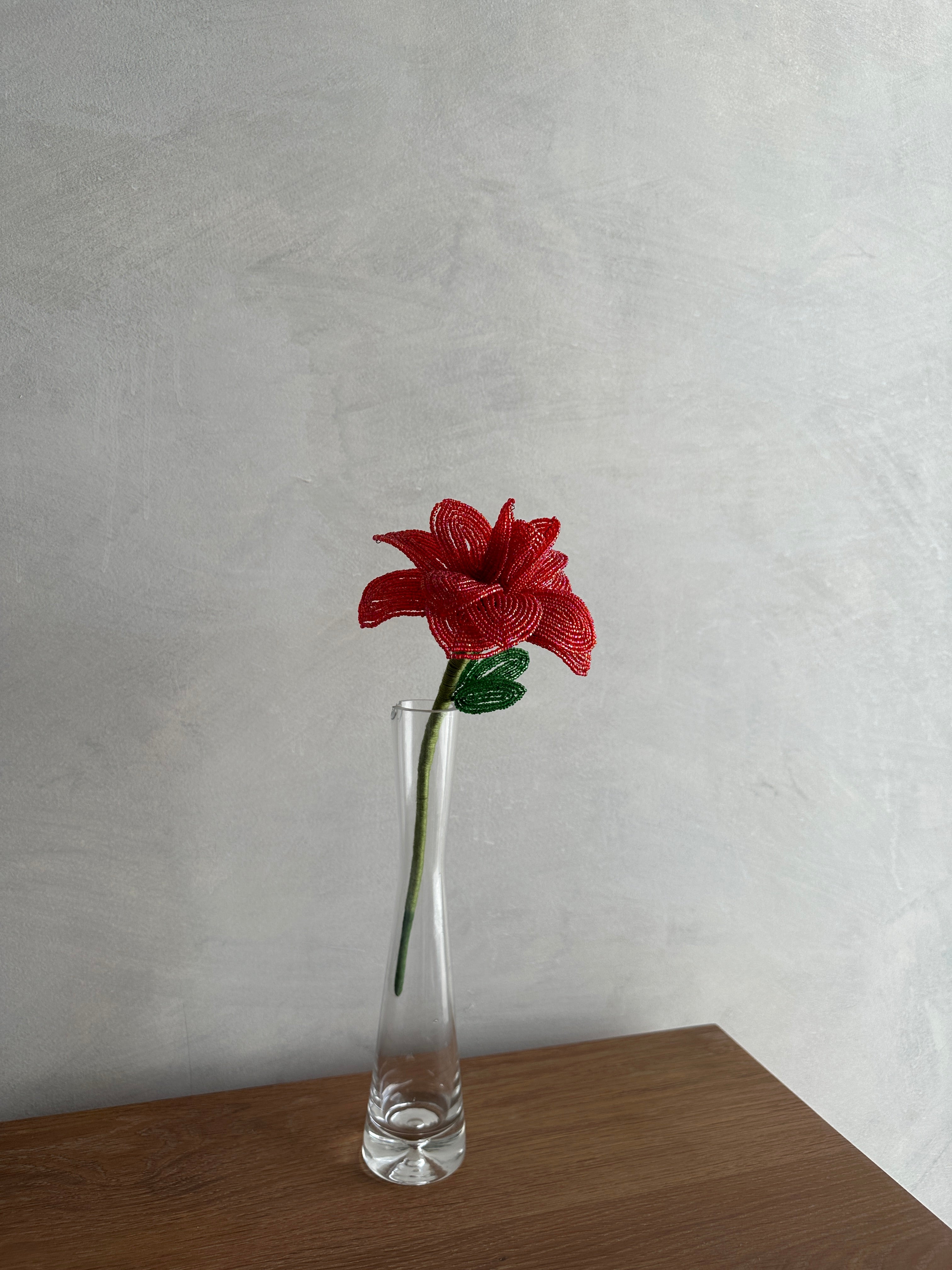Red Rose (Single)