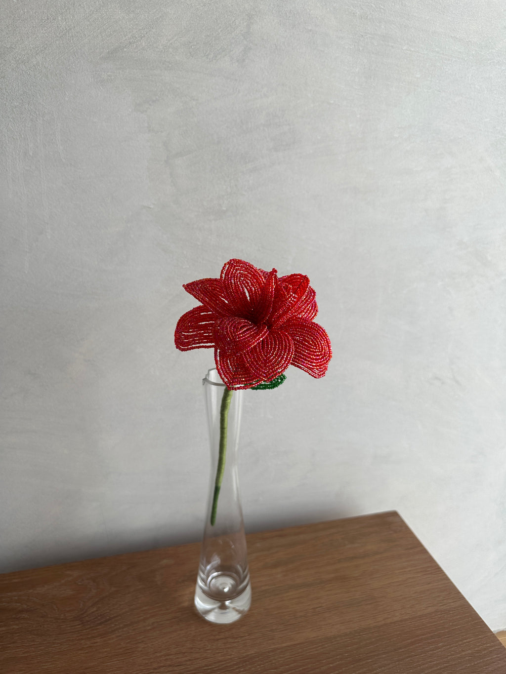 Red Rose (Single)