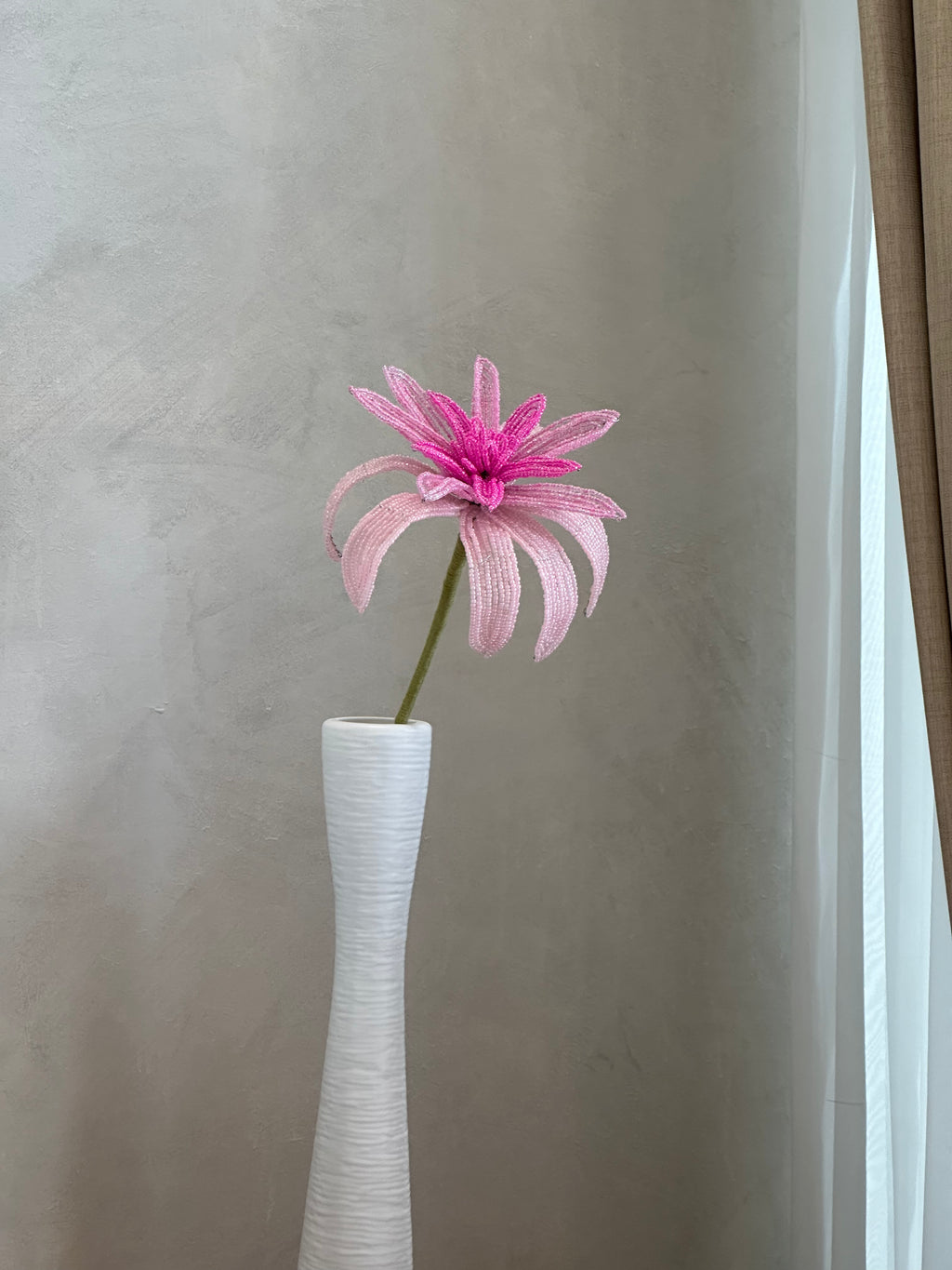 Dahlia (Single)