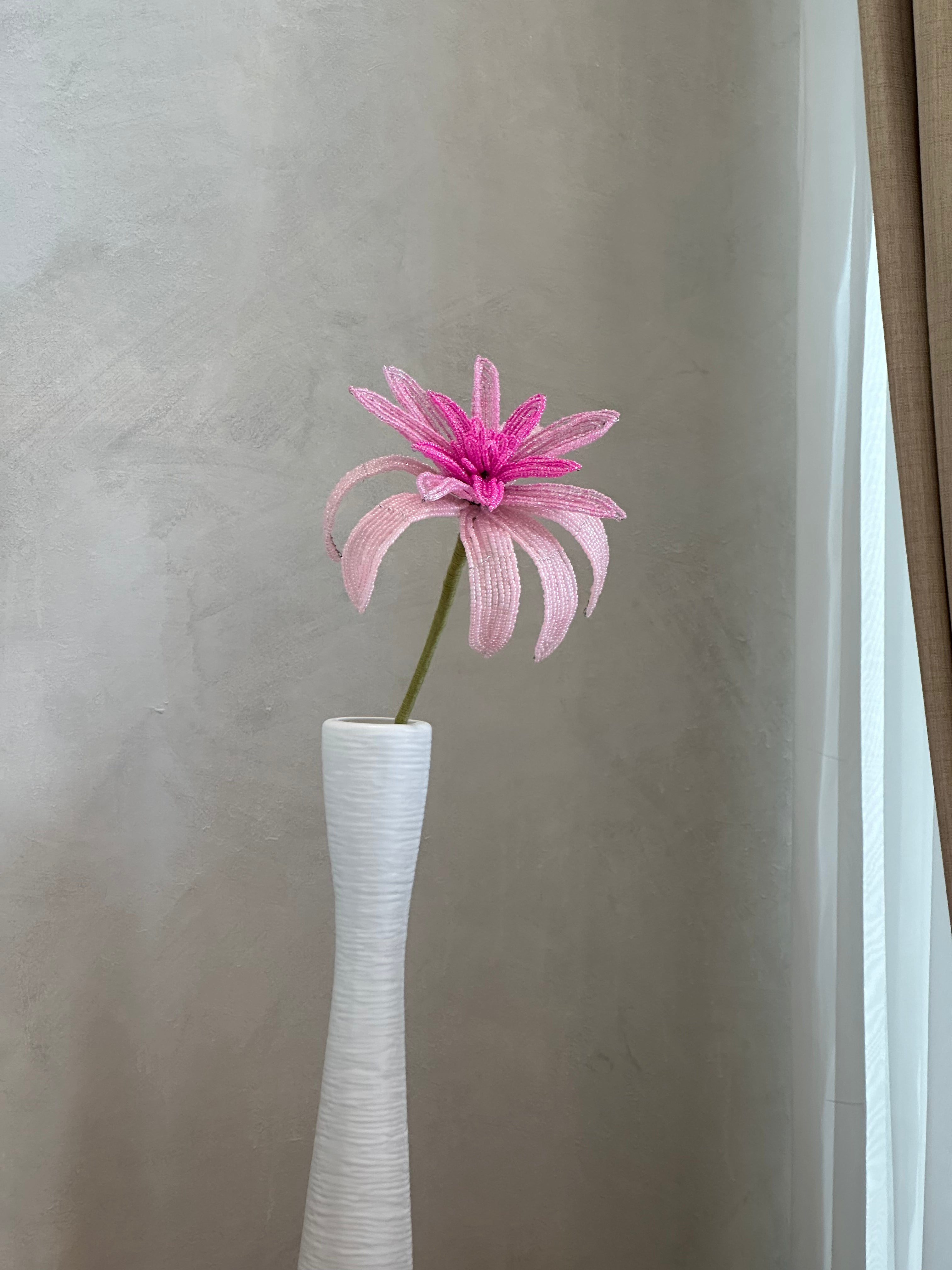 Dahlia (Single)