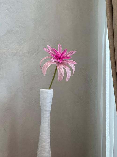 Dahlia (Single)
