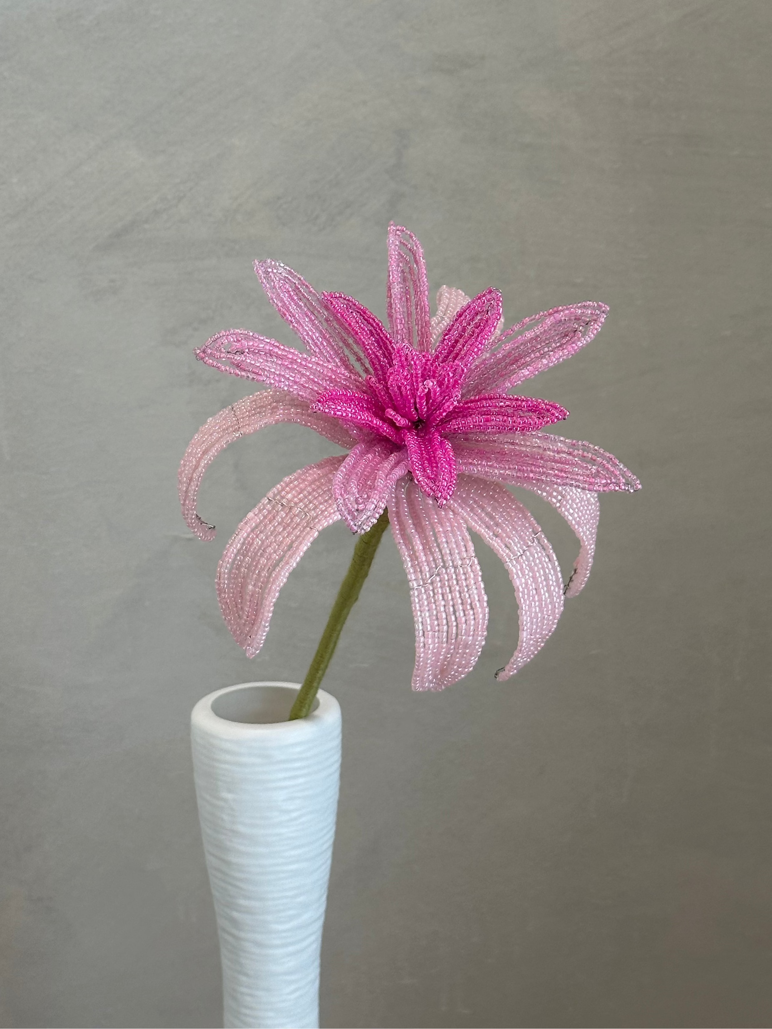 Dahlia (Single)