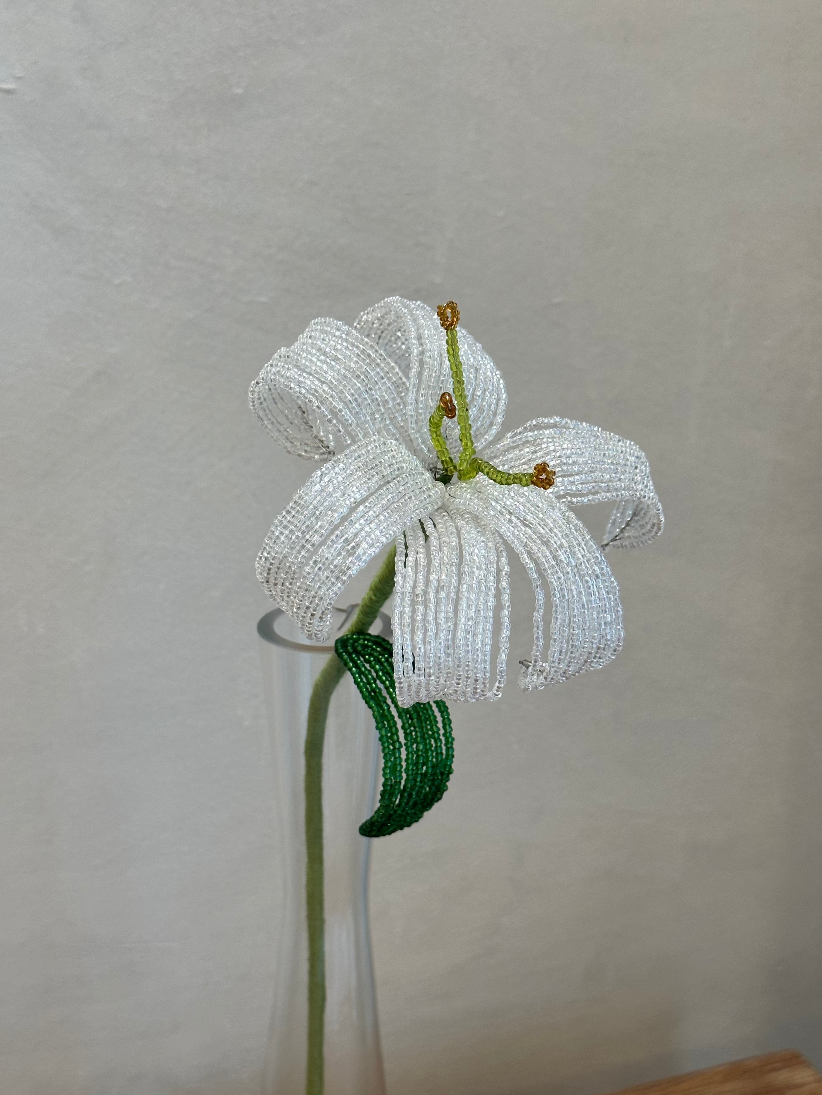Lily (Single)