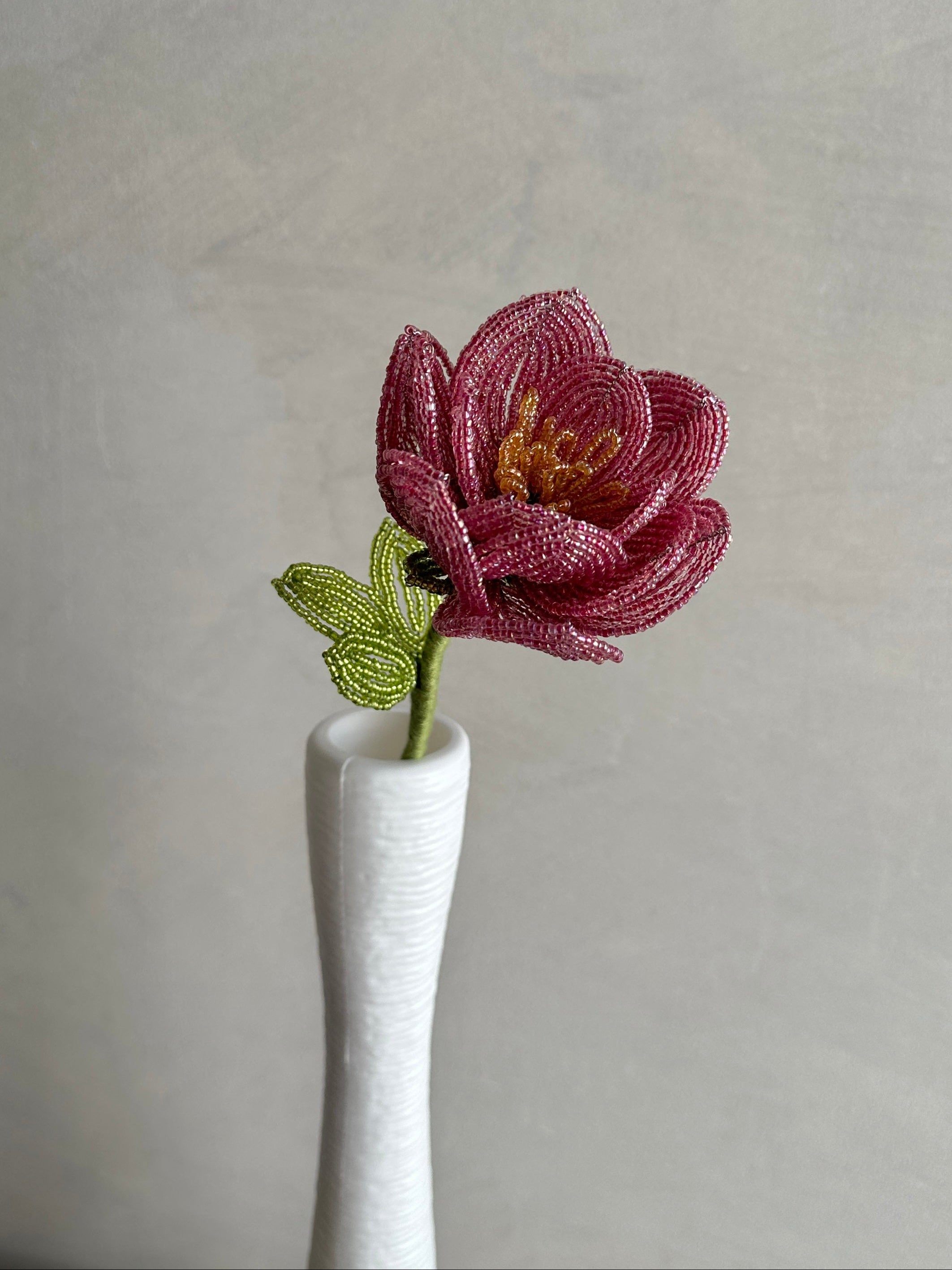 Mauve Rose (Single)