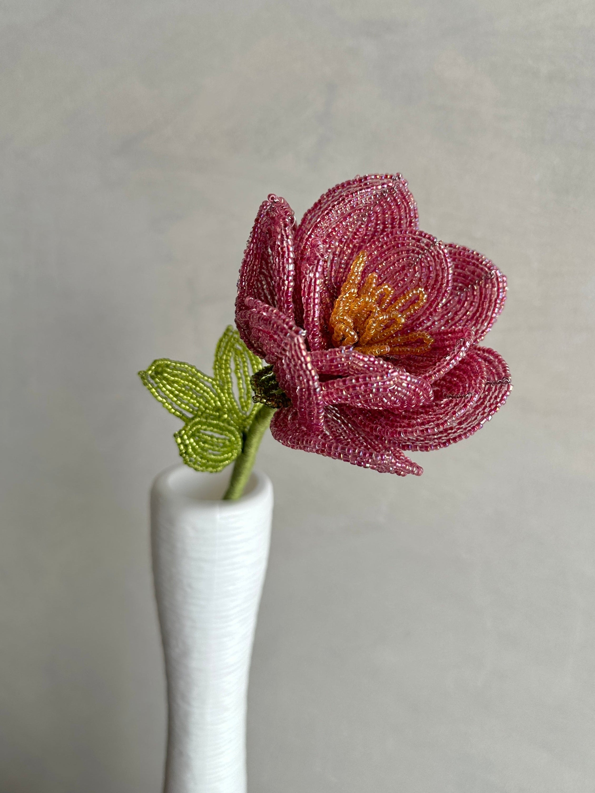 Mauve Rose (Single)