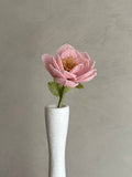 Pink Rose (Single)