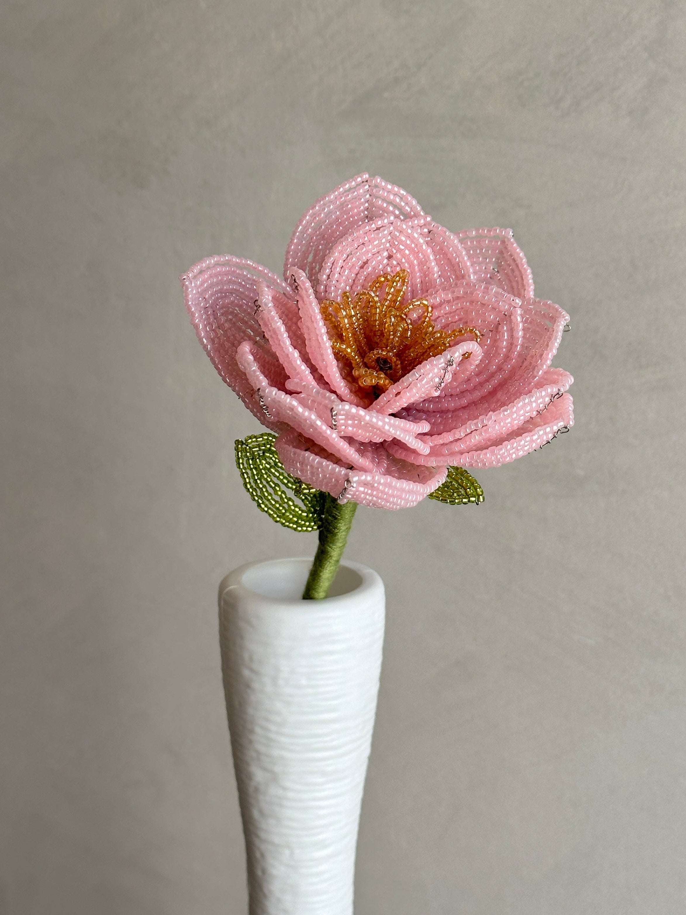 Pink Rose (Single)