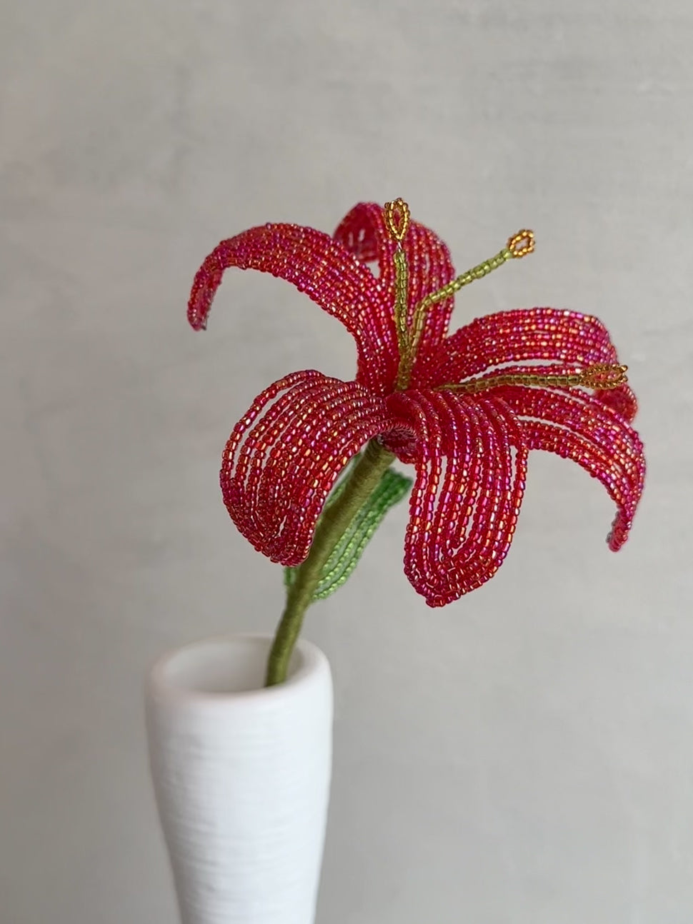 Lily (Single)