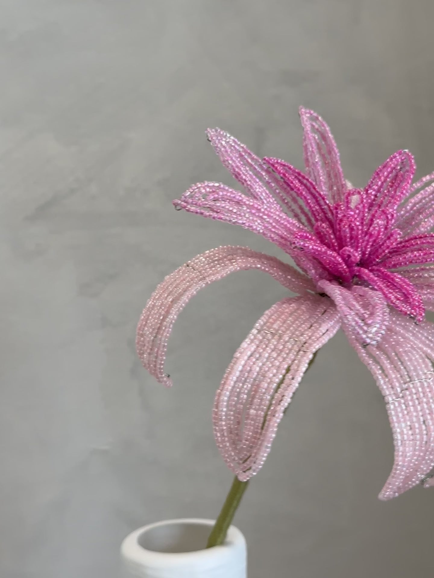Dahlia (Single)