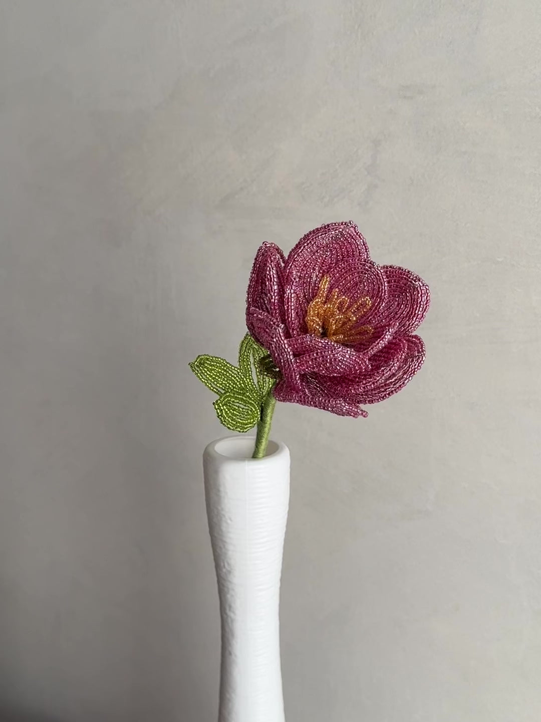 Mauve Rose (Single)